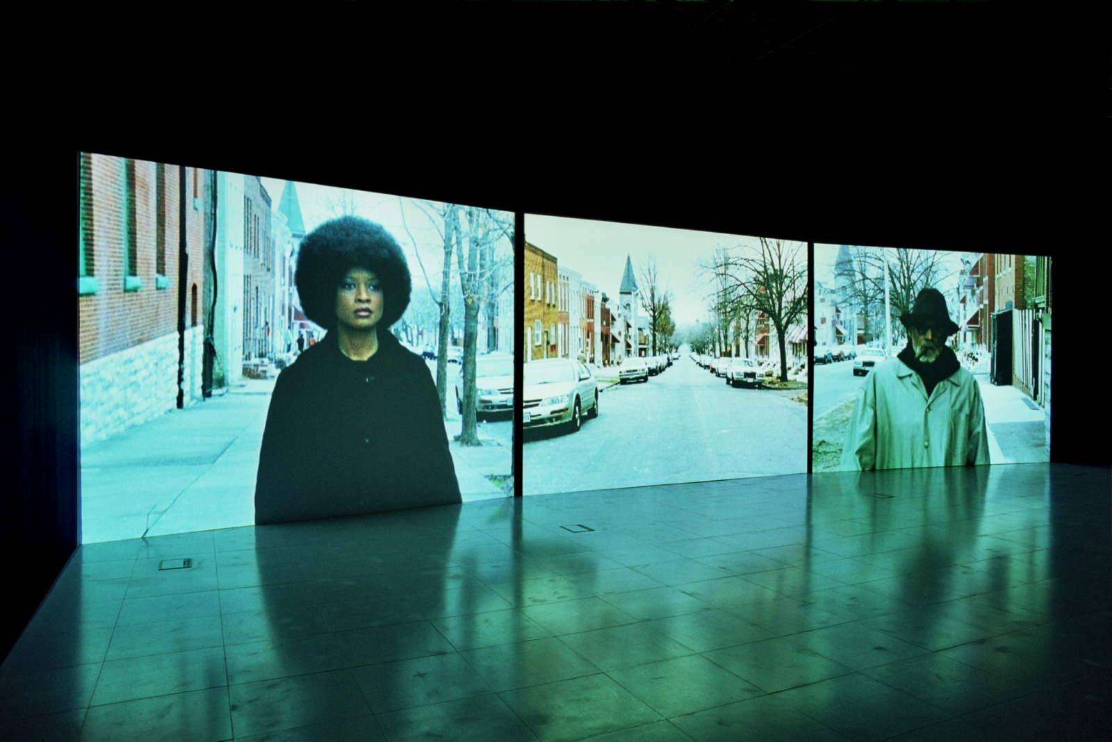 Baltimore Isaac Julien 4