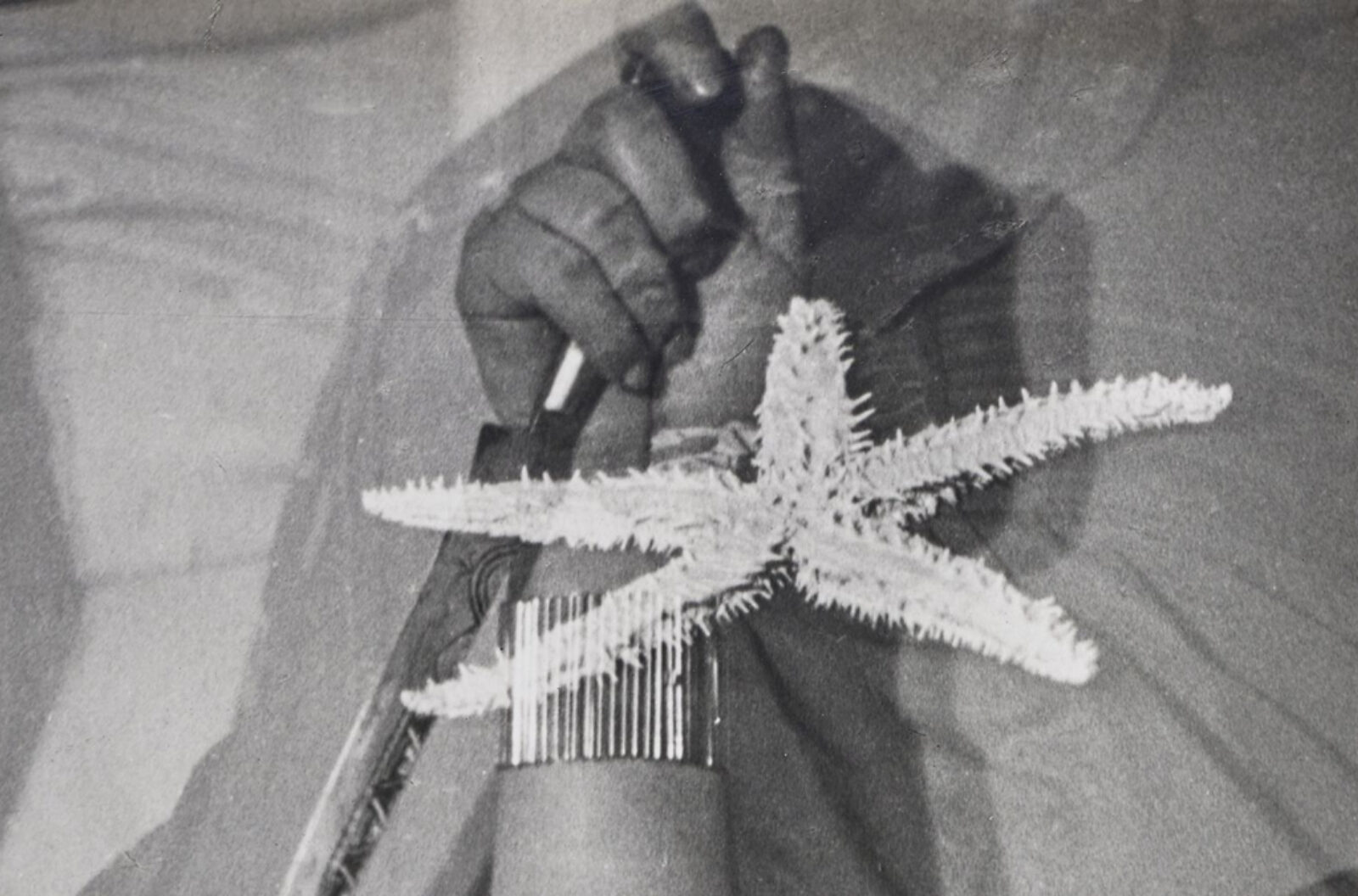 L'Étoile de mer by Man Ray