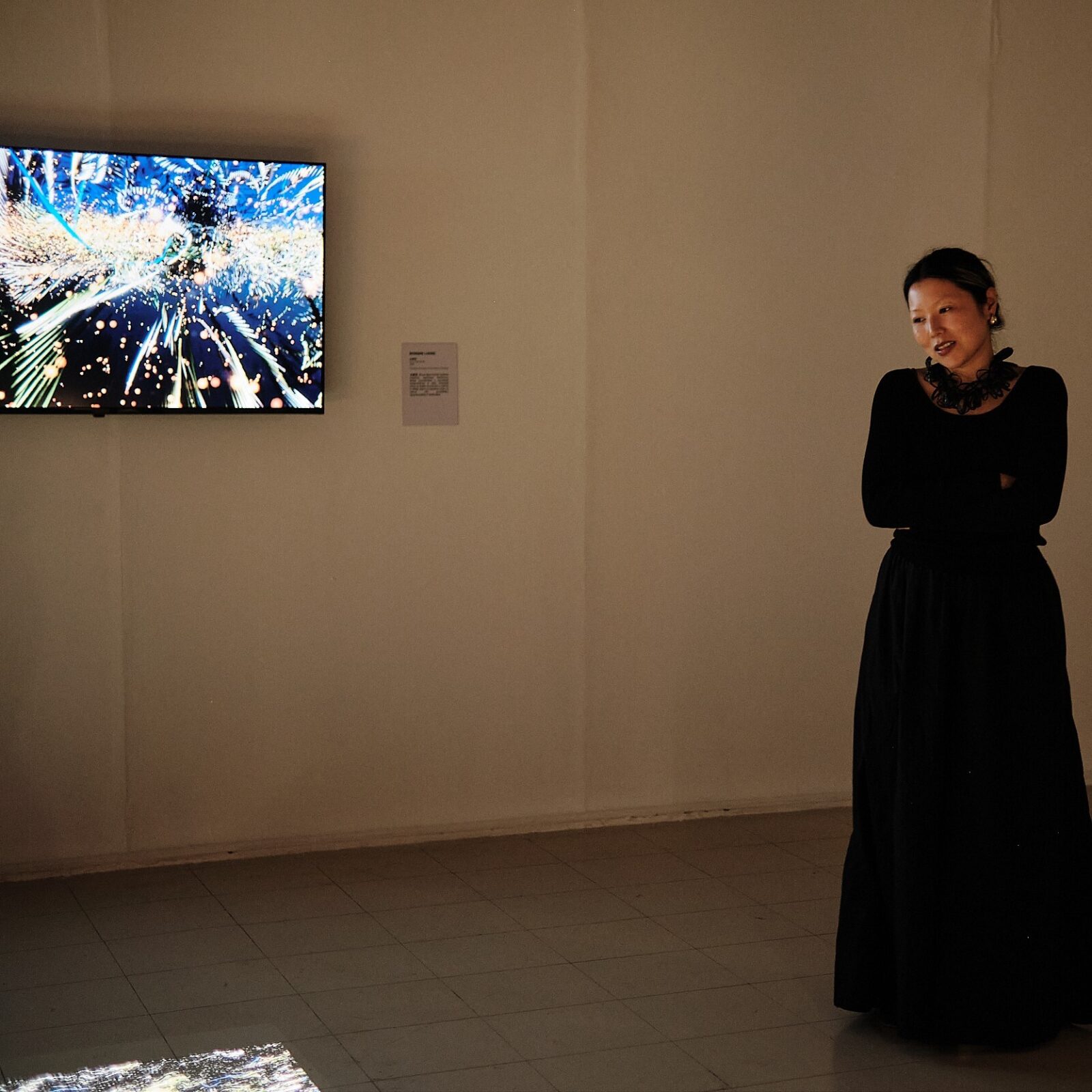 Dongni Liang