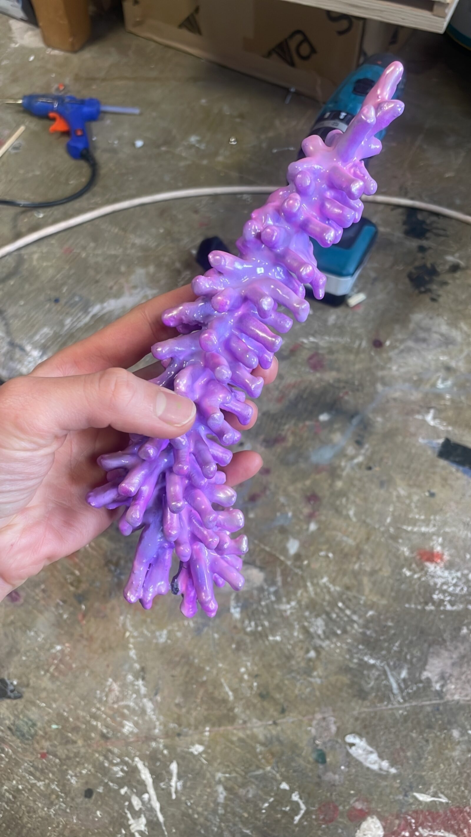 Kara Chin BTS JPEG 0