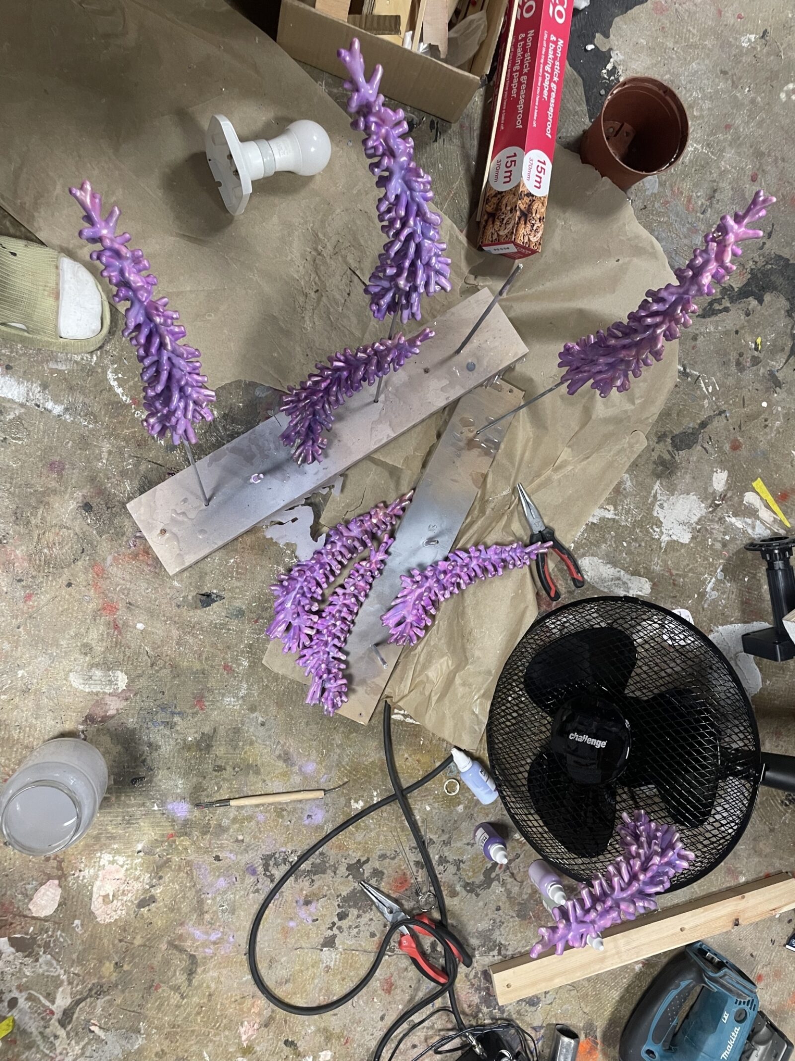 Kara Chin BTS JPEG 3