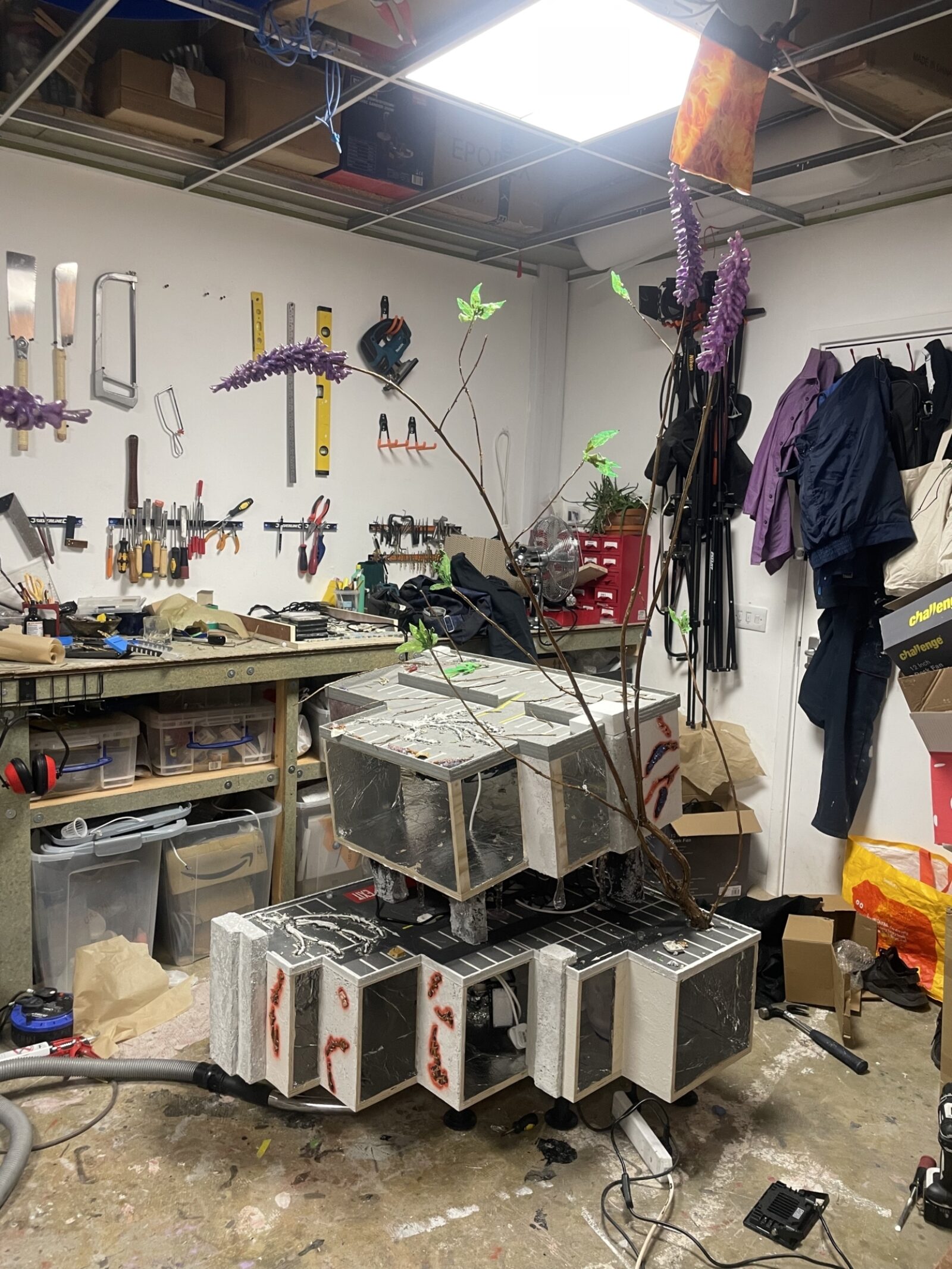 Kara Chin BTS JPEG 8