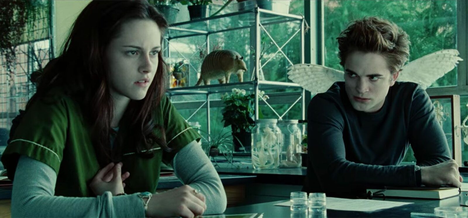 Twilight 2008