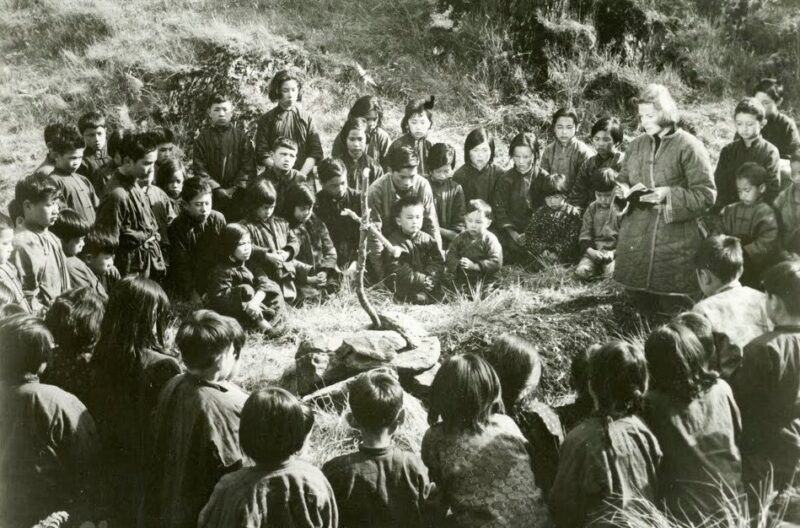 THE INN OF THE SIXTH HAPPINESS