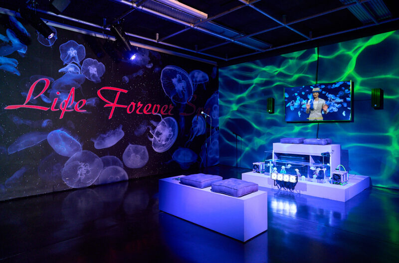 WEB 1500px 72dpi FACT Can Meeple Escape the Neurophoria FEB 2025 c Rob Battersby