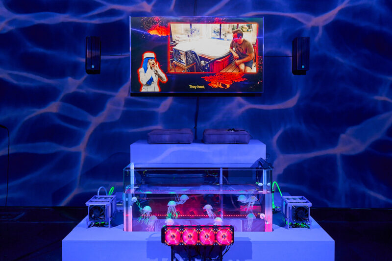 WEB 1500px 72dpi FACT Can Meeple Escape the Neurophoria FEB 2025 c Rob Battersby 2