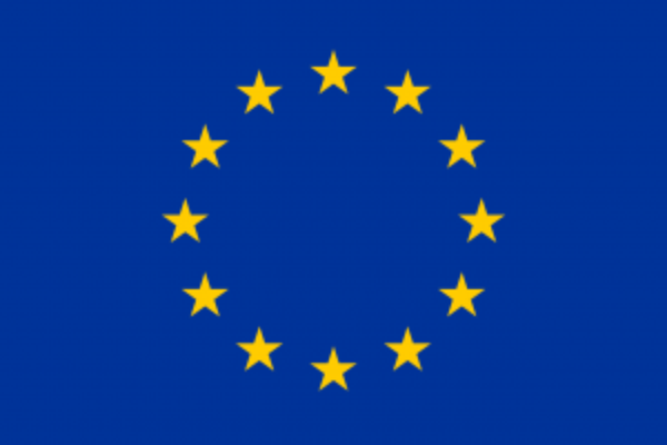 EU FLAG 300x200