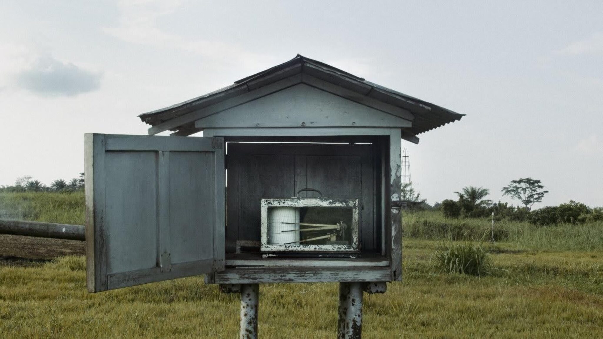 The Tree of Authenticity 2