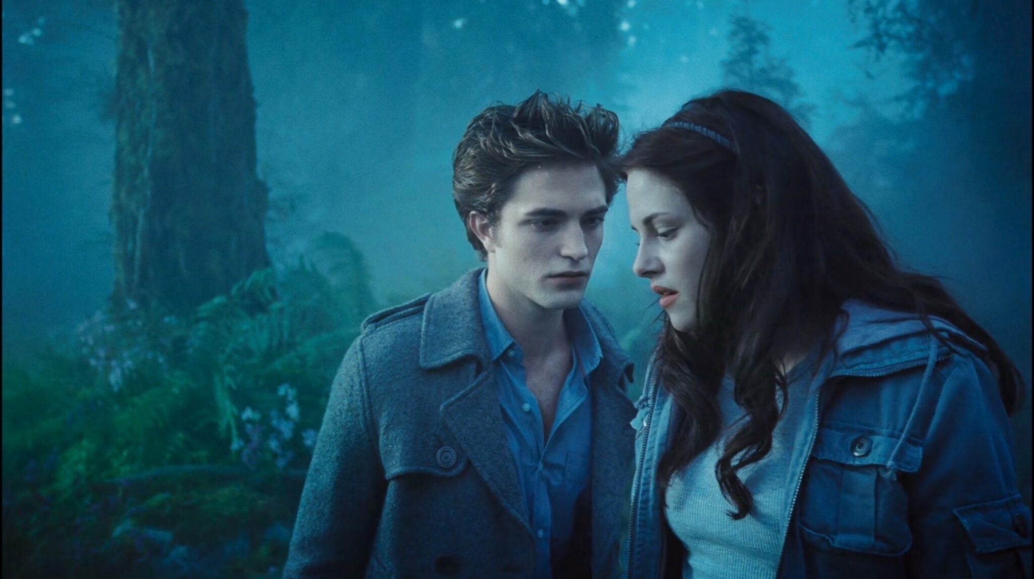 Twilight FACT Picturehouse