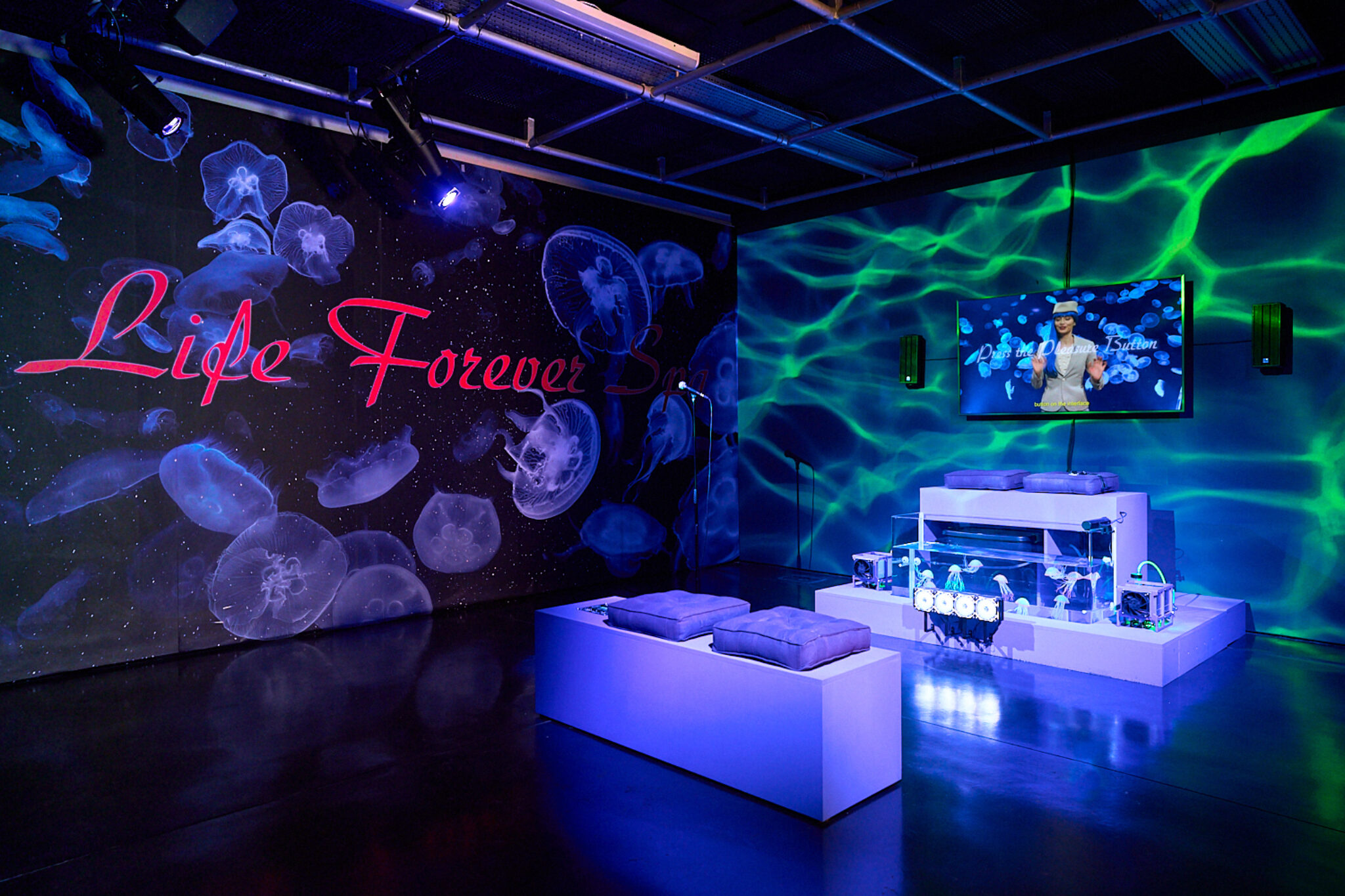 WEB 1500px 72dpi FACT Can Meeple Escape the Neurophoria FEB 2025 c Rob Battersby