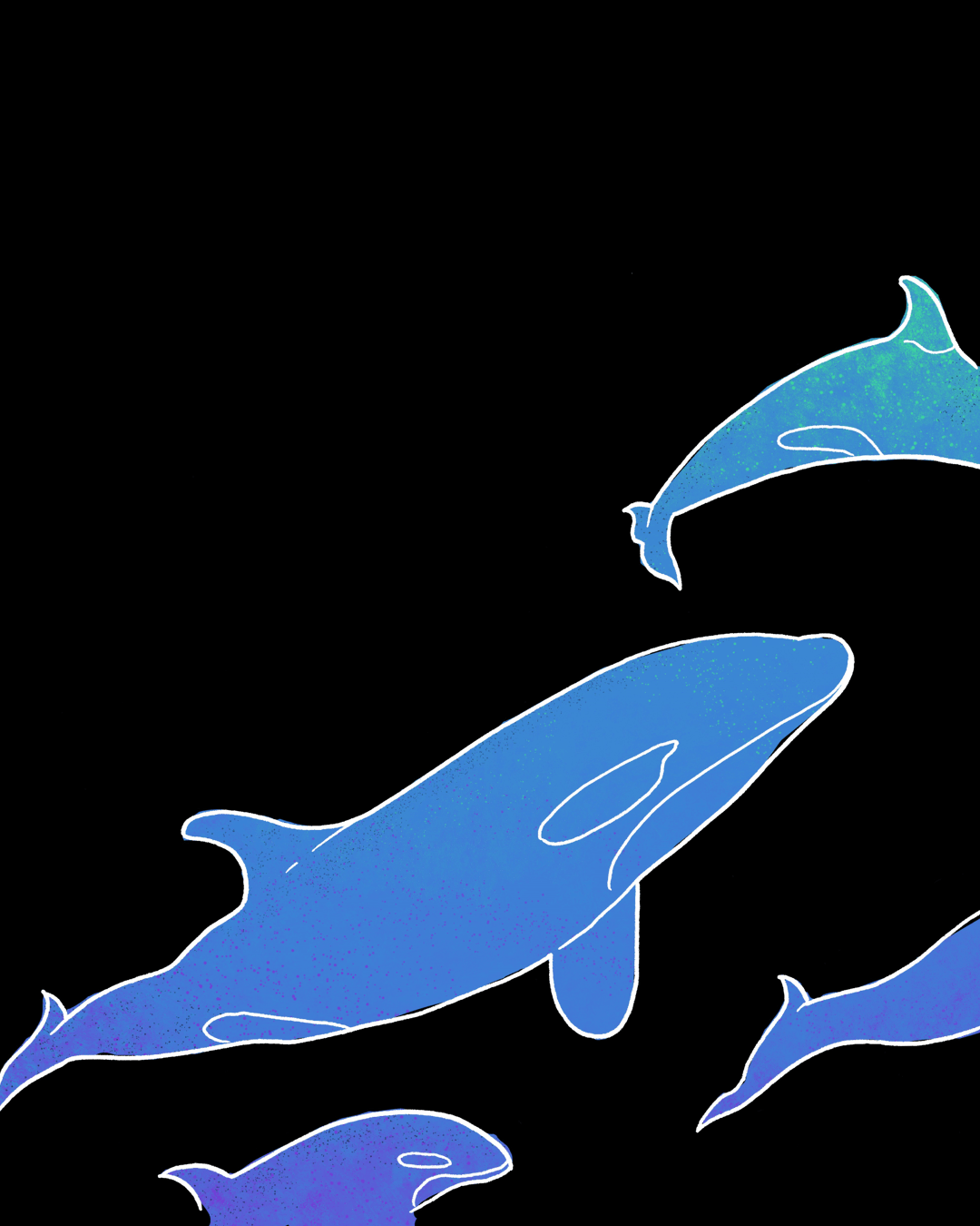 Hibernation 2026 Orca
